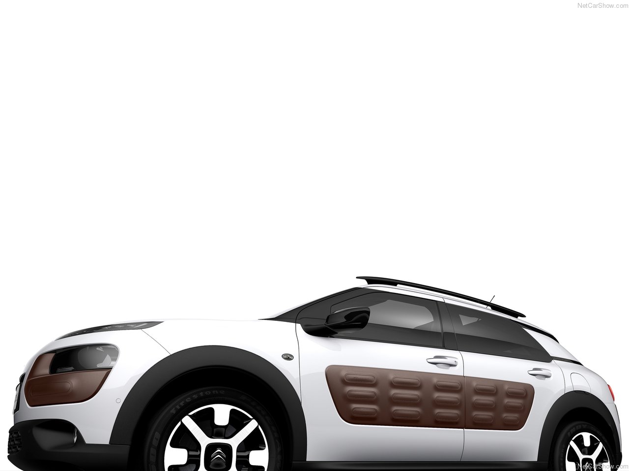 Ｃ4　CACTUS