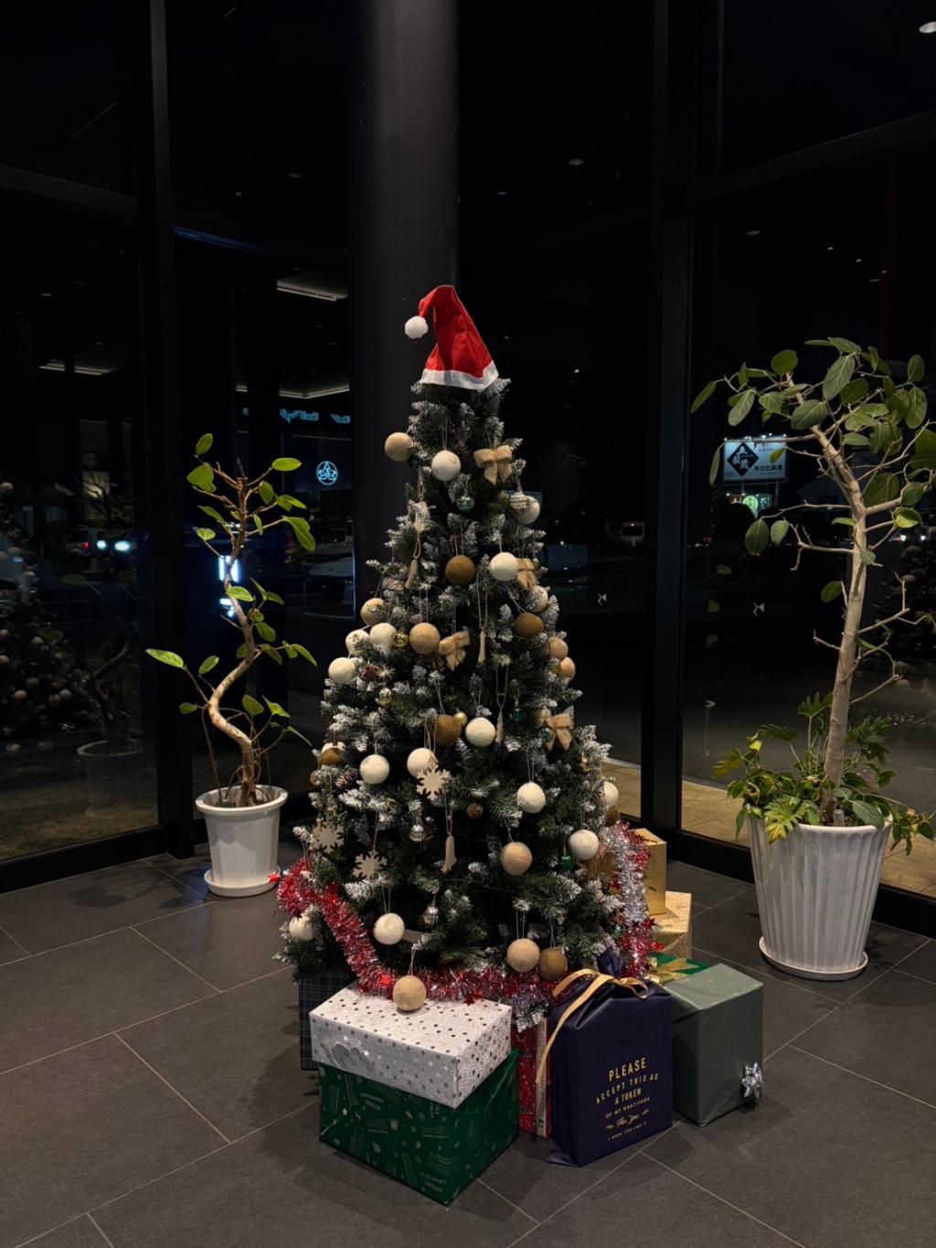 クリスマスツリー出しました🎄✨