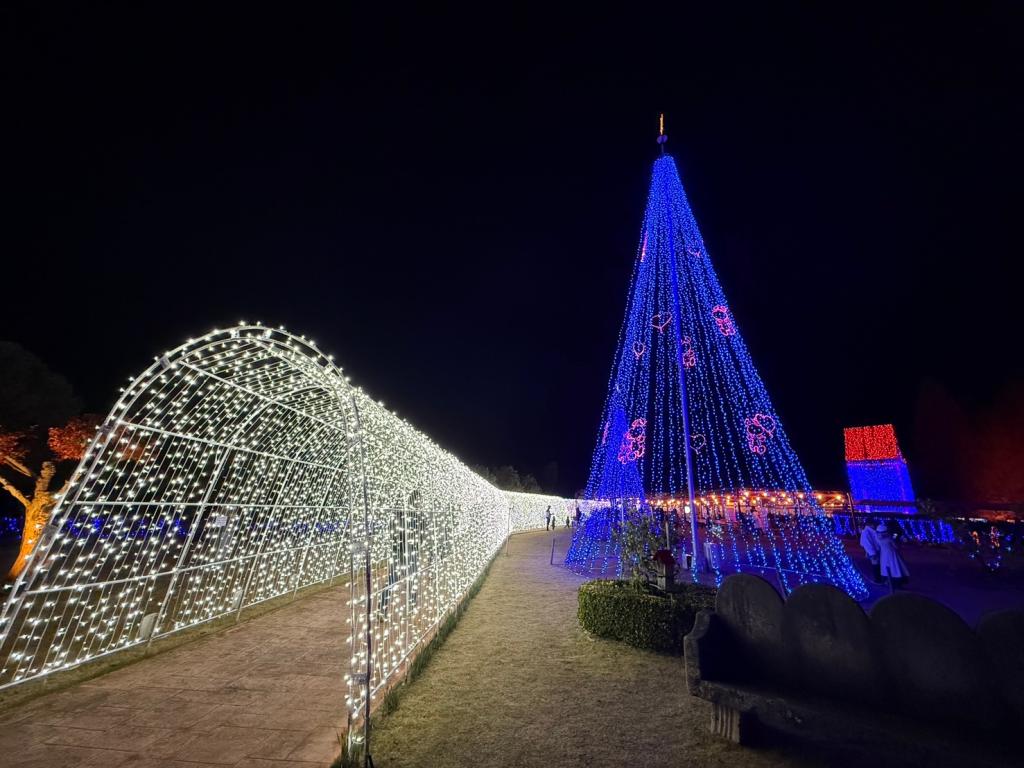 １２月も半月が経ちました
