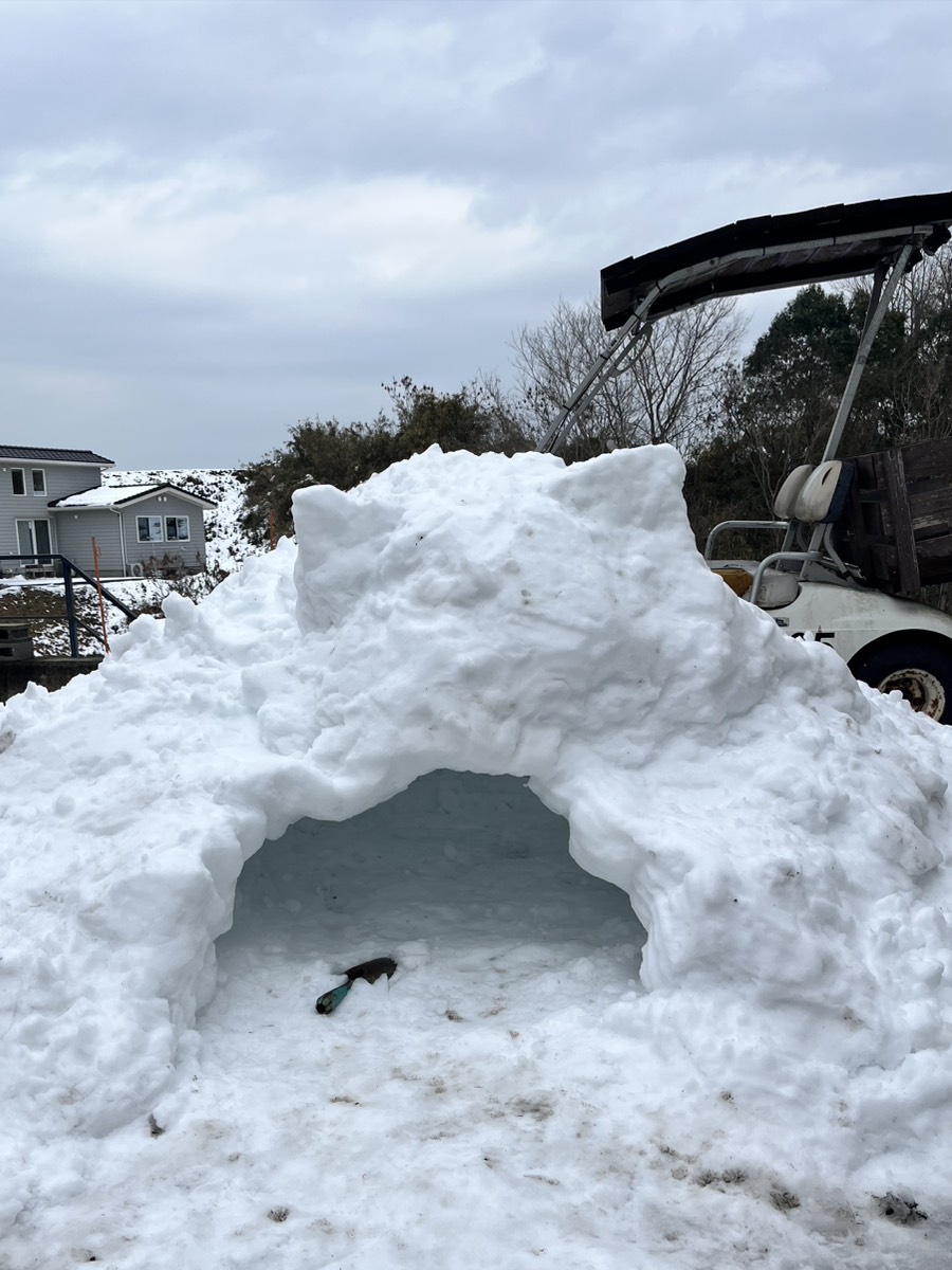 明けましておめでとうございます🎍