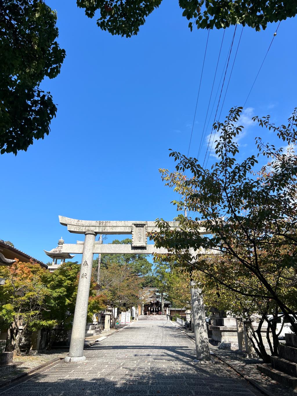 店長の休日